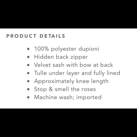 Rose Print Dress NWT - Picture 4 of 4